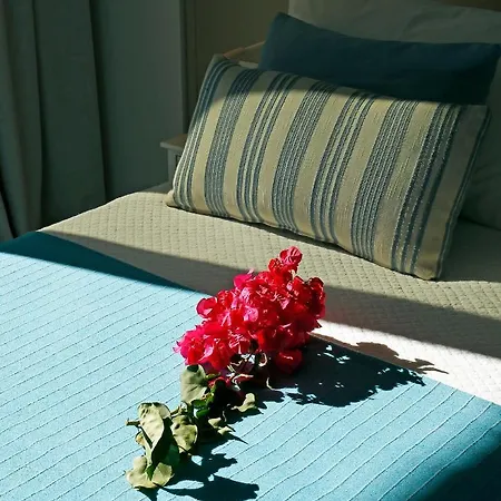Oasis Hotel 3*